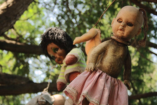 Dolls hang from tree limbs on this island south of Mexico City (Photo by Esparta Palma)