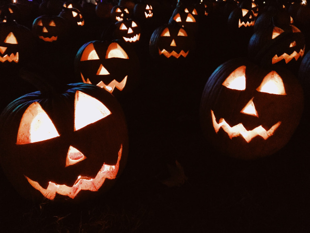 Halloween pumpkins (Photo by Taylor Rooney via Unsplash)