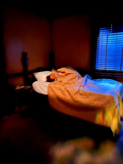 Universal Horror Hotel