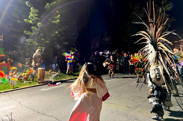 Aztec traditional dance