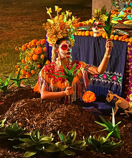 Day of the Dead altar