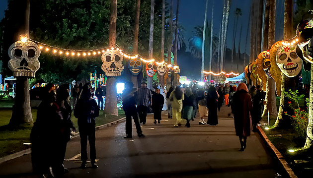 Avenue of Day of the Dead altars