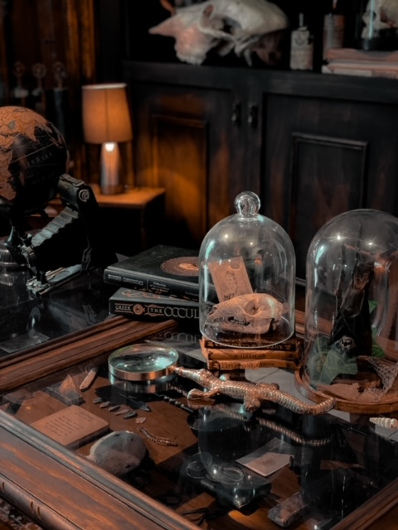 Inside Vamp Manor (Photo credit: Lady Vamp Manor)