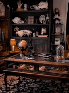 Inside Vamp Manor (Photo credit: Lady Vamp Manor)