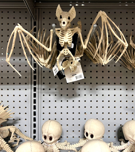 At Home Halloween Decor