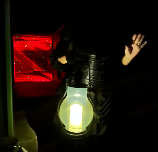 Vogel Victorian basement