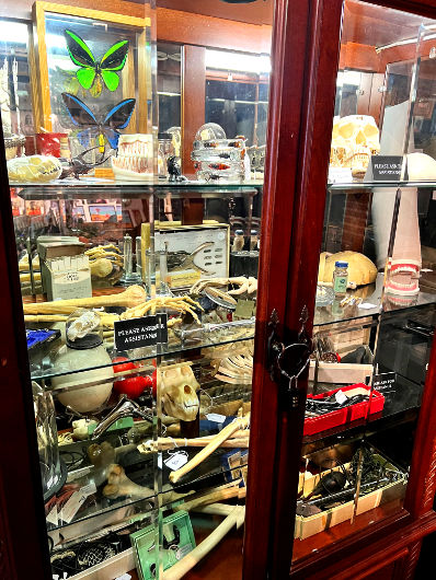 The Dark Art Emporium