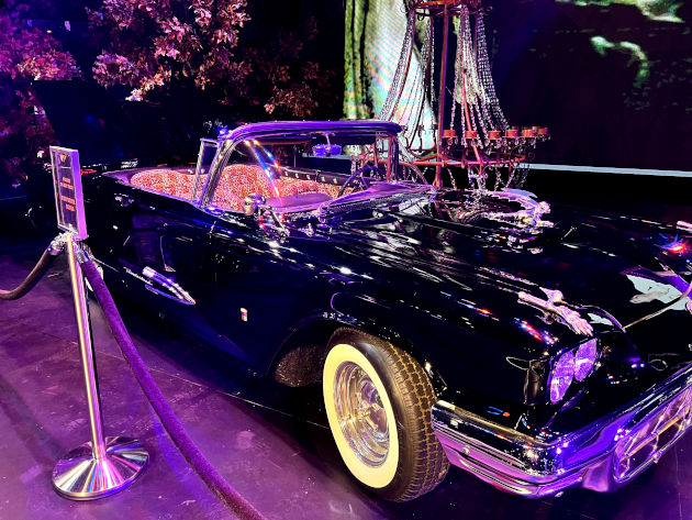 Yours Cruelly, Elvira XXperience