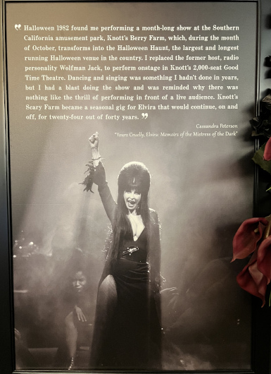 Yours Cruelly, Elvira XXperience