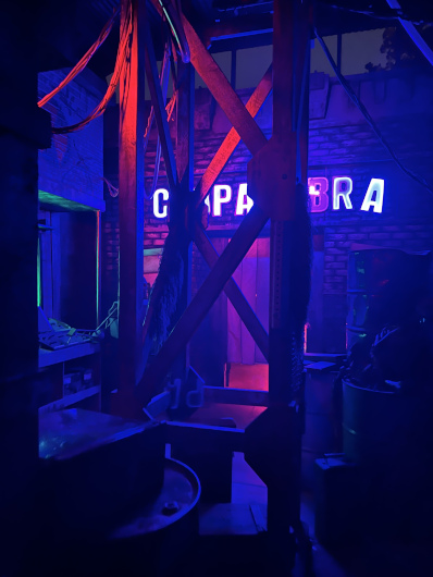 Knott's Scary Farm The Chilling Chambers