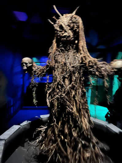 Knott's Scary Farm haunted maze