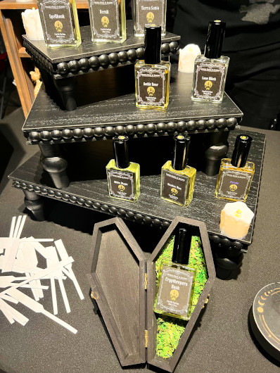 Horror House of Alchemy