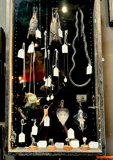 Taxidermy and other oddities at Dark Art Emporium
