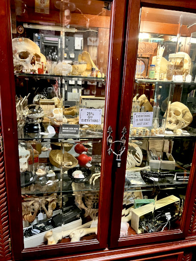 Taxidermy and other oddities at Dark Art Emporium