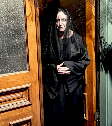 The Widow of Thornfield Lane
