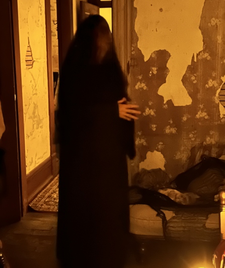 The Widow of Thornfield Lane
