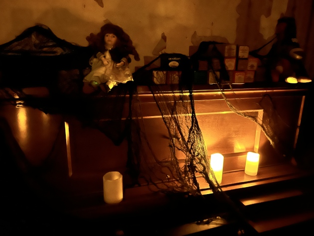 The Widow of Thornfield Lane
