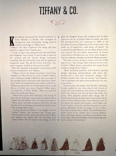 FRANKENSTEIN: Crafting a Tale Eternal 