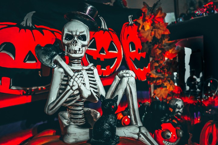 Halloween skeleton (Photo credit: Joshua Coleman via Unsplash)